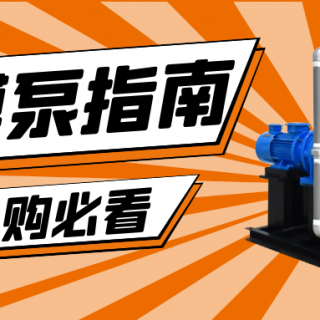 收下這份隔膜泵采購指南，助你龍年“泵”發(fā)生產(chǎn)活力